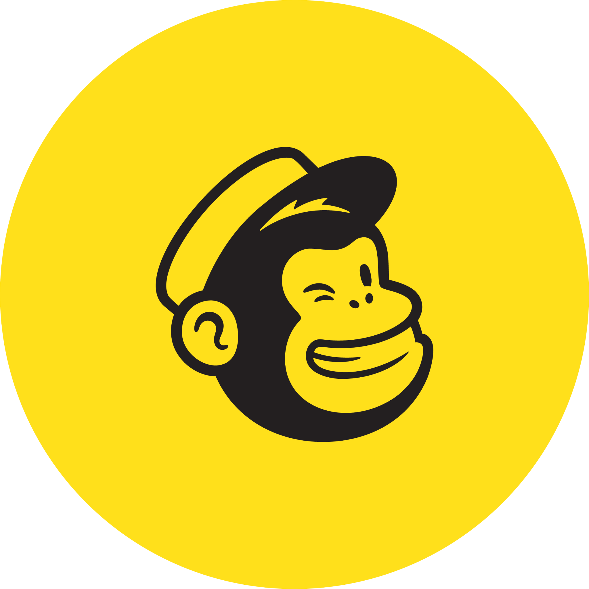 mailchimp-icon